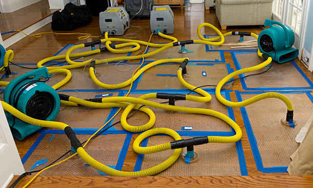 Professional Structural Drying And Dehumidification technician working in Kaweah, CA